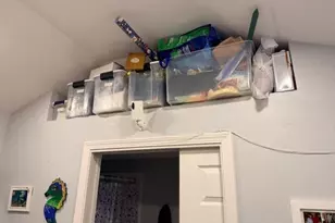 10325 Fire Flag Trail, Fort Myers, FL 33905 - Photo 27