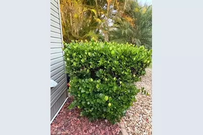 10325 Fire Flag Trl, Fort Myers, FL 33905 - Photo 19