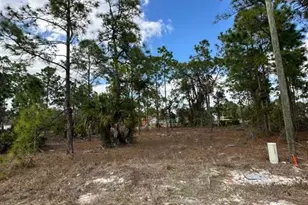 545 Allison St E, Lehigh Acres, FL 33974 - Photo 1