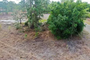 841 Dante Ave S, Lehigh Acres, FL 33974 - Photo 11