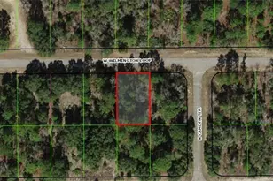 2254 W Wilmington Loop, Dunnellon, FL 34434 - Photo 1