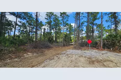 1123 Lincoln Ave, Lehigh Acres, FL 33972 - Photo 5