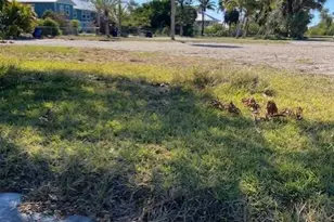 5226 Serenity Cove, Bokeelia, FL 33922 - Photo 13