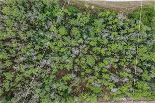 1913 Weller Ave, Lehigh Acres, FL 33972 - Photo 11