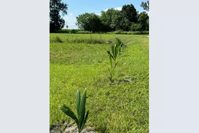 936 Meyerchick Dr SW, Moore Haven, FL 33471 - Photo 5