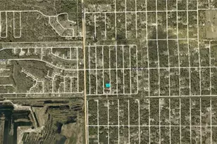 2009 Grayson Ave, Alva, FL 33920 - Photo 3