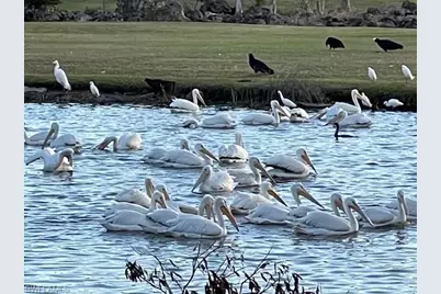 16686 Waters Edge Ct, Fort Myers, FL 33908 - Photo 43