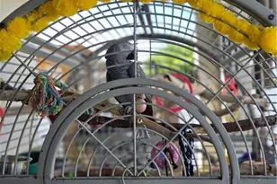 4102 SW 14th Pl, Cape Coral, FL 33914 - Photo 17