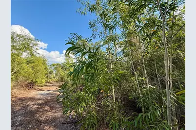 7111 Guava Ave, Bokeelia, FL 33922 - Photo 3