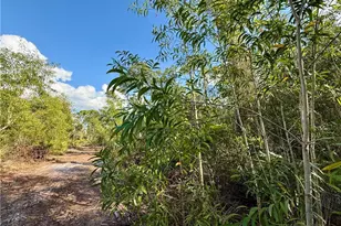 7101 Guava Ave, Bokeelia, FL 33922 - Photo 3