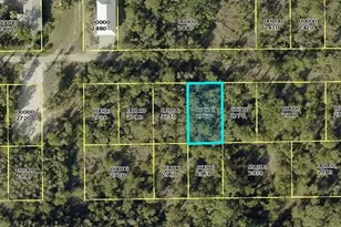7101 Guava Ave, Bokeelia, FL 33922 - Photo 1
