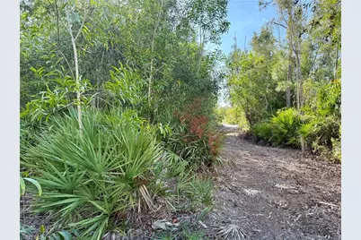 7101 Guava Ave, Bokeelia, FL 33922 - Photo 5