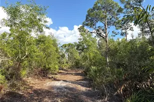 7101 Guava Ave, Bokeelia, FL 33922 - Photo 9