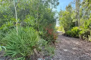 7091 Guava Ave, Bokeelia, FL 33922 - Photo 5