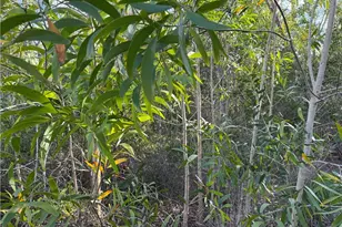 7091 Guava Ave, Bokeelia, FL 33922 - Photo 7