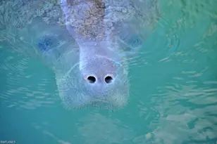 3930 Otter Bend Cir, Fort Myers, FL 33905 - Photo 37