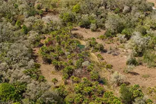 3751 Bateman Rd, Alva, FL 33920 - Photo 21