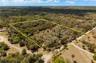 3751 Bateman Rd, Alva, FL 33920 - Photo 7