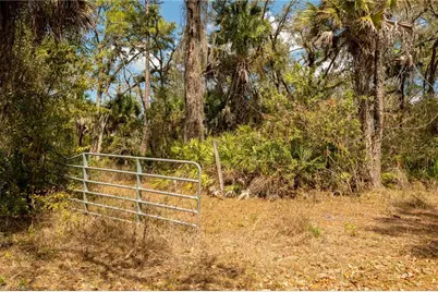 3751 Bateman Rd, Alva, FL 33920 - Photo 3