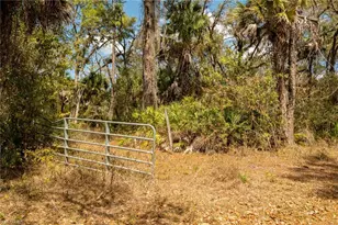 3751 Bateman Rd, Alva, FL 33920 - Photo 3