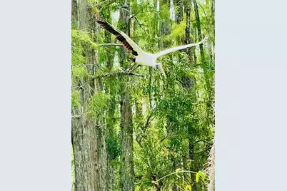 10526 Carena Cir, Fort Myers, FL 33913 - Photo 47