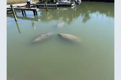 201 White Pelican Dr, Captiva, FL 33924 - Photo 41