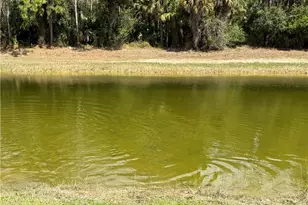 8004 Spice Ct, Labelle, FL 33935 - Photo 33