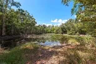 15710 Shamrock Dr, Fort Myers, FL 33912 - Photo 33
