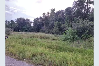 145 Pine Ln, Lehigh Acres, FL 33973 - Photo 5