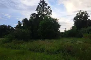 145 Pine Ln, Lehigh Acres, FL 33973 - Photo 1