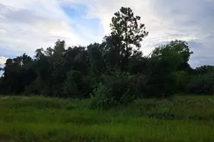 145 Pine Ln, Lehigh Acres, FL 33973 - Photo 3