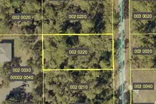 2019 Leroy Ave, Alva, FL 33920 - Photo 1