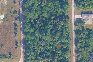 510 Palao Ave S, Lehigh Acres, FL 33974 - Photo 1