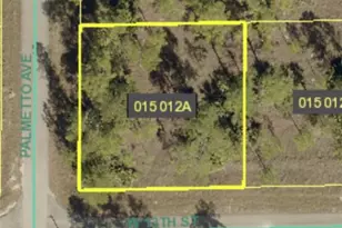 806 W 13th St, Lehigh Acres, FL 33972 - Photo 1