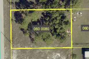 1029 Marshall Ave S, Lehigh Acres, FL 33974 - Photo 1