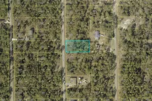 2110 Wells Ave, Alva, FL 33920 - Photo 3