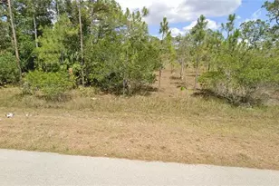 1914-1916 Magenta Ave, Lehigh Acres, FL 33972 - Photo 3