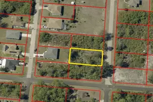 2903 5th St SW, Lehigh Acres, FL 33976 - Photo 3