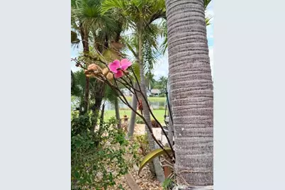 5222 Pineland Daisy Trl, Fort Myers, FL 33905 - Photo 35