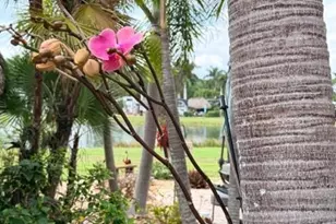 5222 Pineland Daisy Trail, Fort Myers, FL 33905 - Photo 35