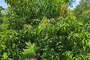 501 Wildwood Ave, Clewiston, FL 33440 - Photo 21