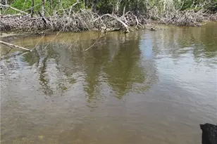 4195 Pine Island Rd NW, Matlacha, FL 33993 - Photo 9