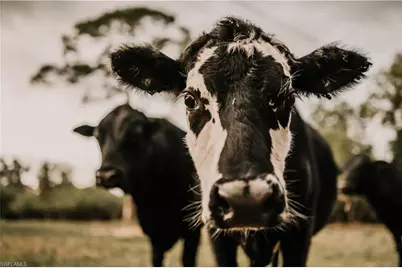 19740 Gottarde Rd, North Fort Myers, FL 33917 - Photo 7