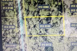 2104 Grant Ave, Alva, FL 33920 - Photo 1