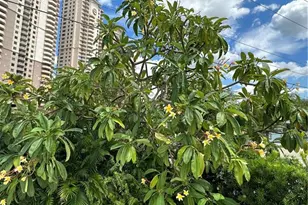 1900 Clifford St, Fort Myers, FL 33901 - Photo 33