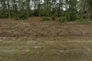 1505 Dayton Ave, Lehigh Acres, FL 33972 - Photo 3