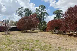 209 McArthur Ave, Lehigh Acres, FL 33936 - Photo 9