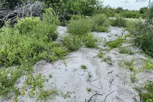 422 Caywood Ave S, Lehigh Acres, FL 33974 - Photo 9