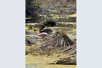 9247 Dimmick Dr, Sanibel, FL 33957 - Photo 39