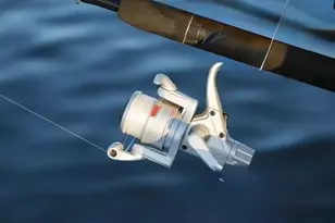 10536 Fountain Palm Cir, Bokeelia, FL 33922 - Photo 33